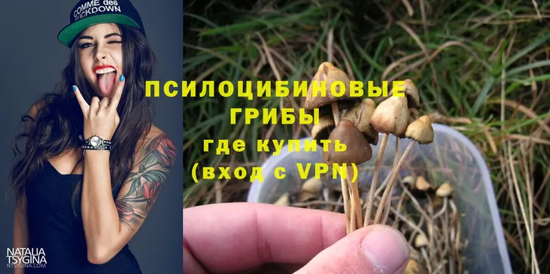 Галлюциногенные грибы Cubensis  Куса 